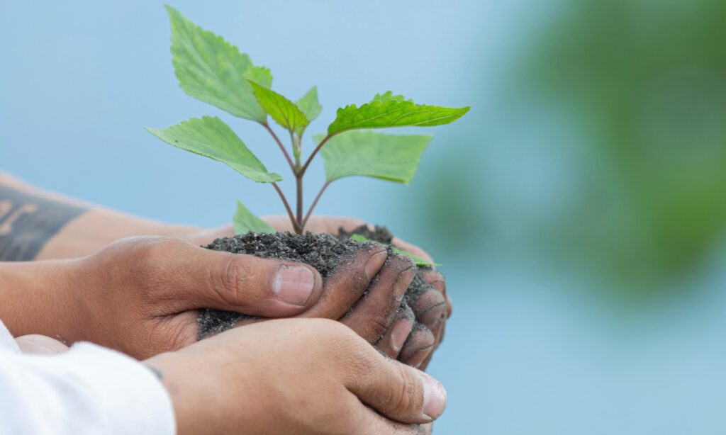 Últimos dias para se inscrever na Conferência Municipal de Meio Ambiente e Saneamento Básico