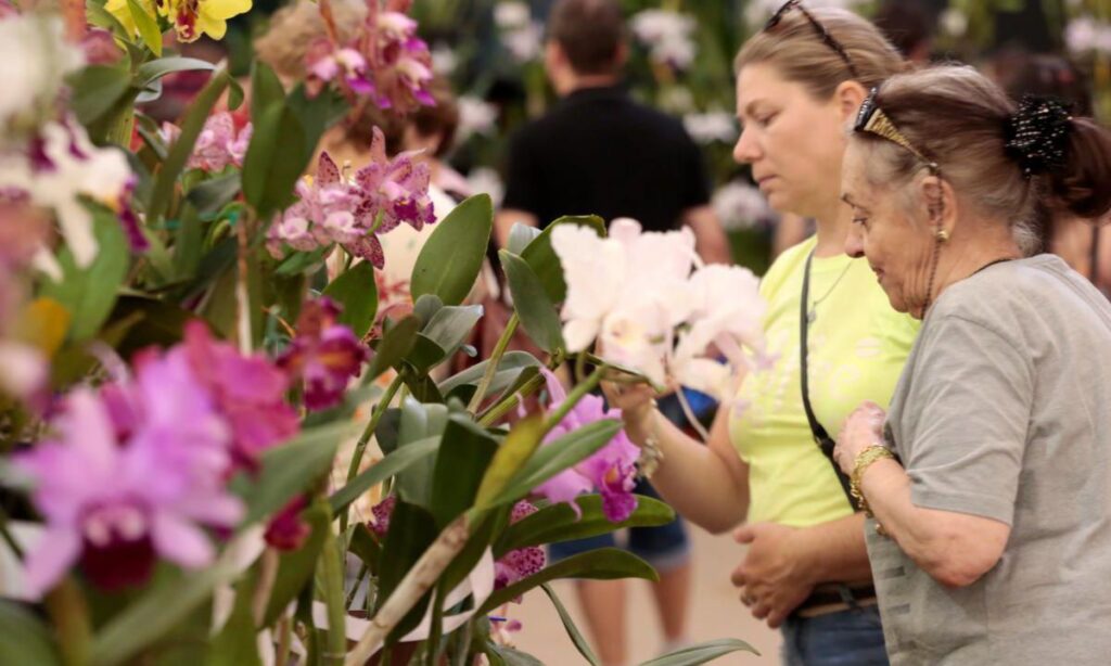 Prefeitura de Joinville faz consulta pública para reconhecer Festa das Flores como Patrimônio Imaterial