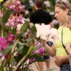 Público passeia na Festa das Flores de Joinville