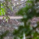 Pingos de chuva caem