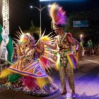 Mestre sala e porta bandeira se apresentam em avenida durante desfile de carnaval
