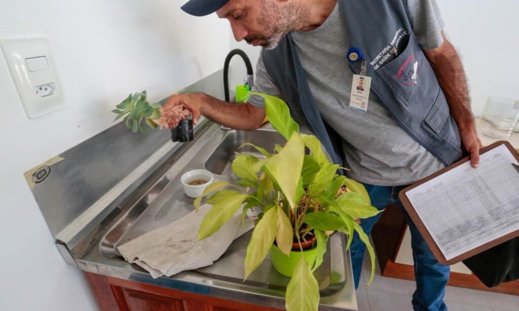 “10 Minutos Contra a Dengue” é ação estratégica para combater o Aedes aegypti em Joinville