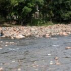 Imagens de um rio com pedras e vegetação nas bordas