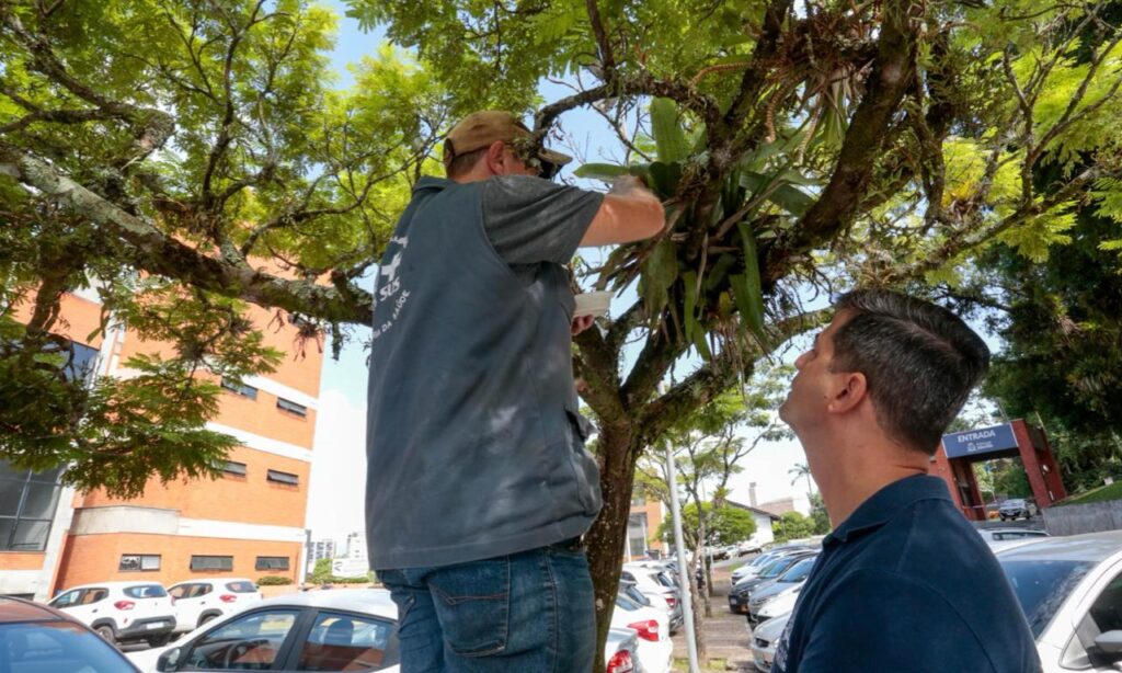 Prédios públicos municipais são vistoriados para eliminar criadouros do mosquito da dengue