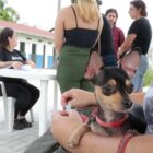 Tutora segura cachorro pequeno no colo enquanto aguarda para ser atendida