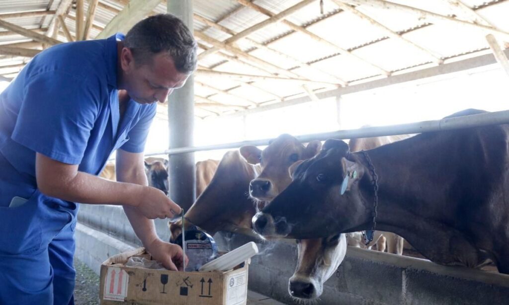Joinville inicia o ano com cinco opções de cursos para qualificação de produtores rurais