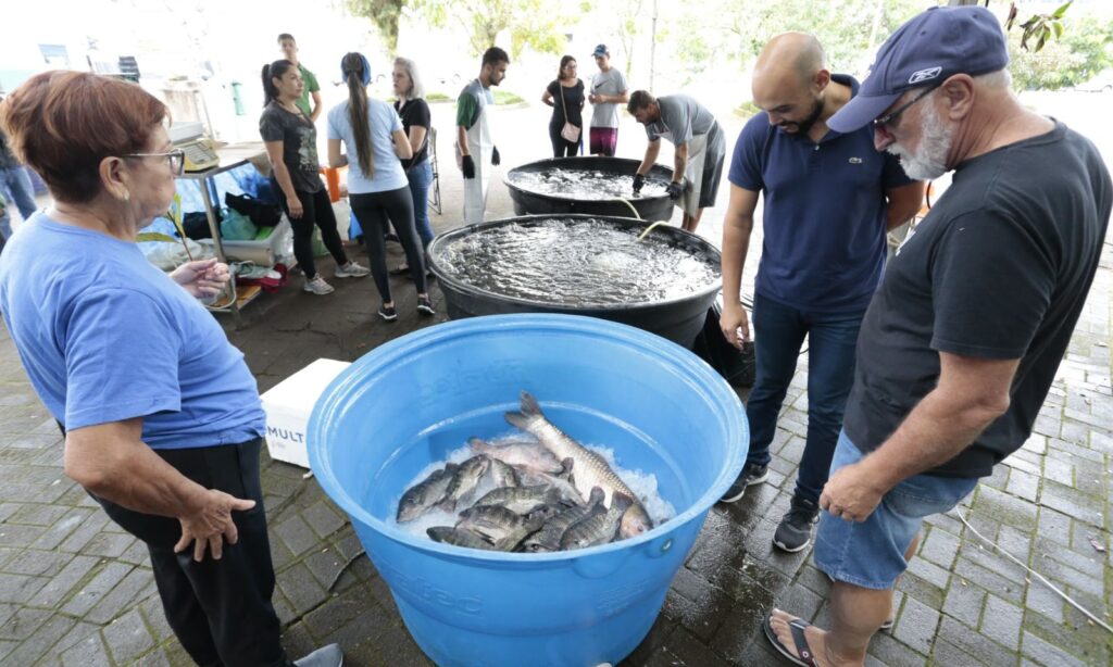Joinville terá Feira do Peixe Vivo nesta quinta e sexta-feira