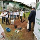 Grupo de pessoas em volta de uma muda de árvore que será plantada