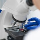 Microscópio, equipamento óptico para ampliar imagem dos mosquitos