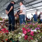 Pessoas circulam em feira em área com mudas de flores a venda