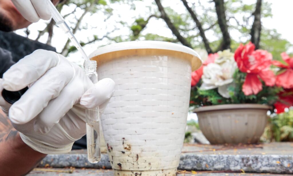 Vigilância Ambiental de Joinville faz ação de limpeza nos cemitérios após Dia das Mães