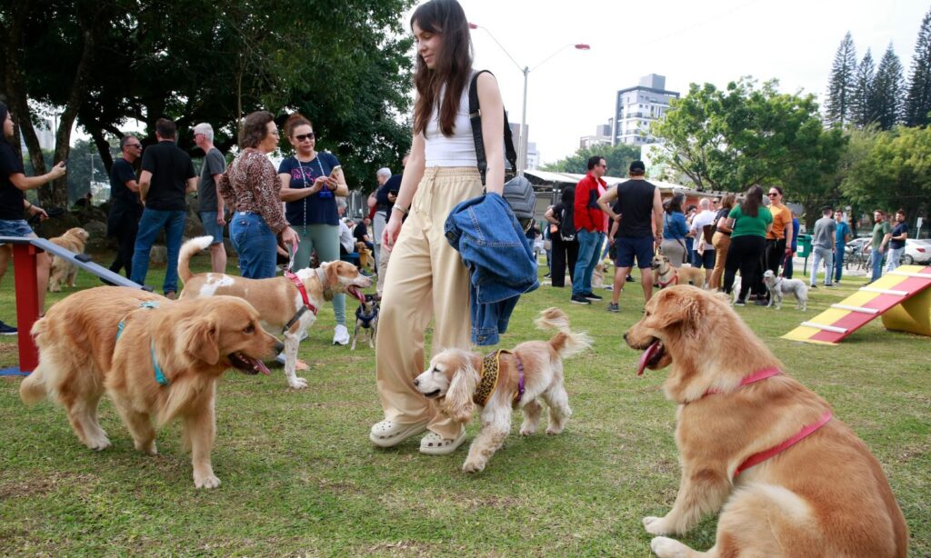 Parque para pets com 2,6 mil m² é inaugurado ao lado da Rodoviária de Joinville