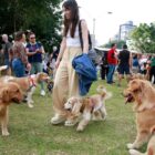 Cães e seus tutores no Parcão