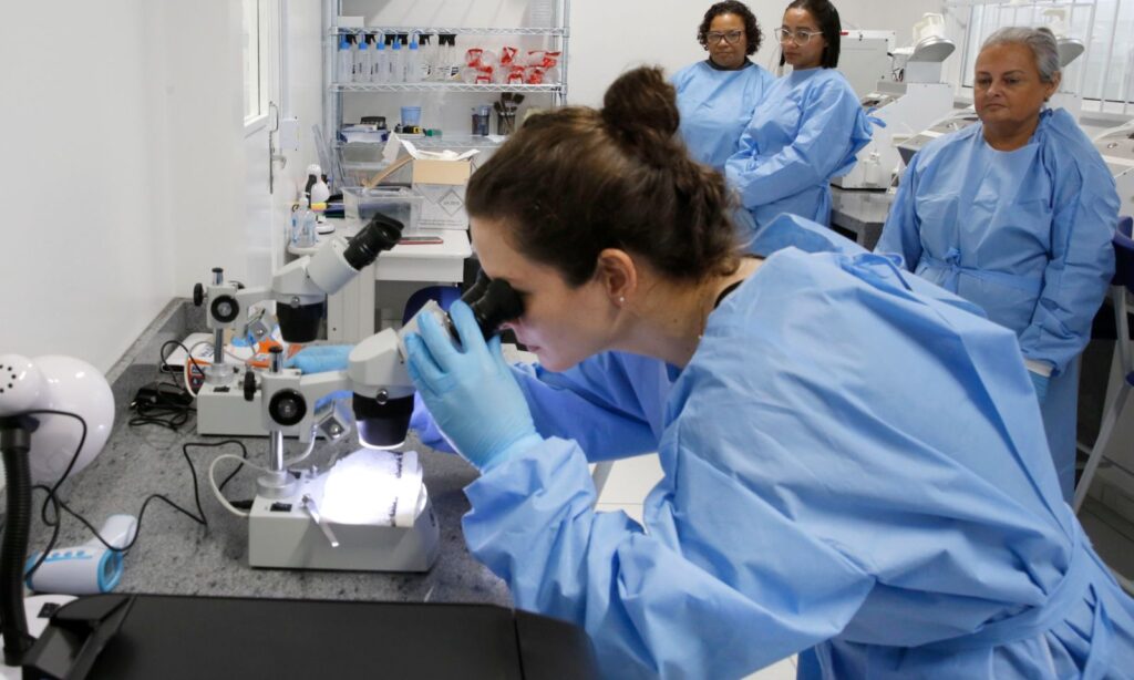 Agentes da Vigilância Ambiental que farão soltura dos mosquitos com Wolbachia recebem capacitação em Joinvill