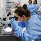 Técnica utiliza microscópio no laboratório
