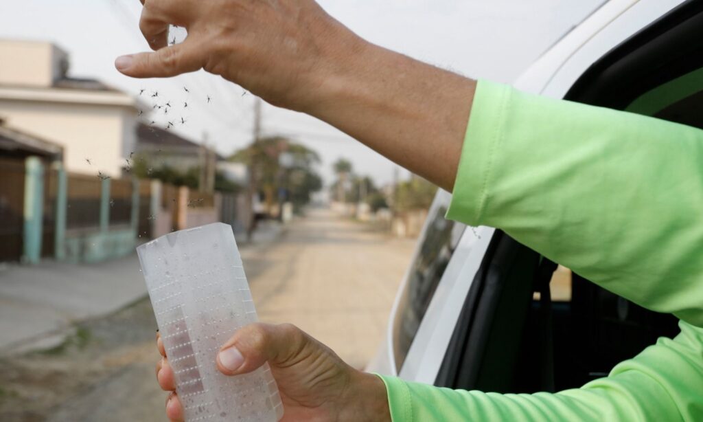 Agente libera mosquitos pela janela de carro em movimento
