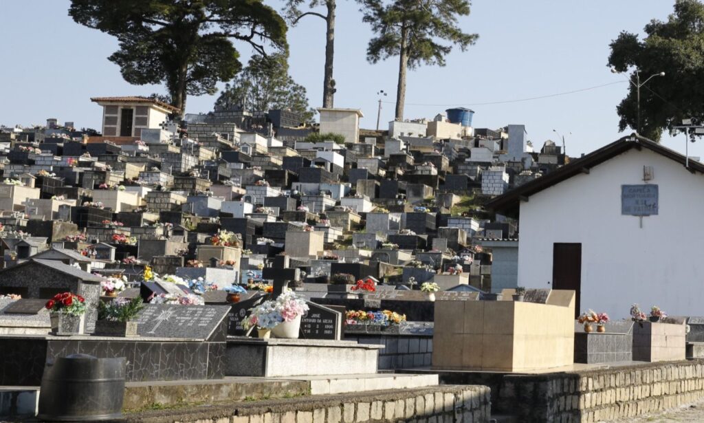 Sama divulga prazos para limpeza e manutenção de túmulos nos cemitérios de Joinville