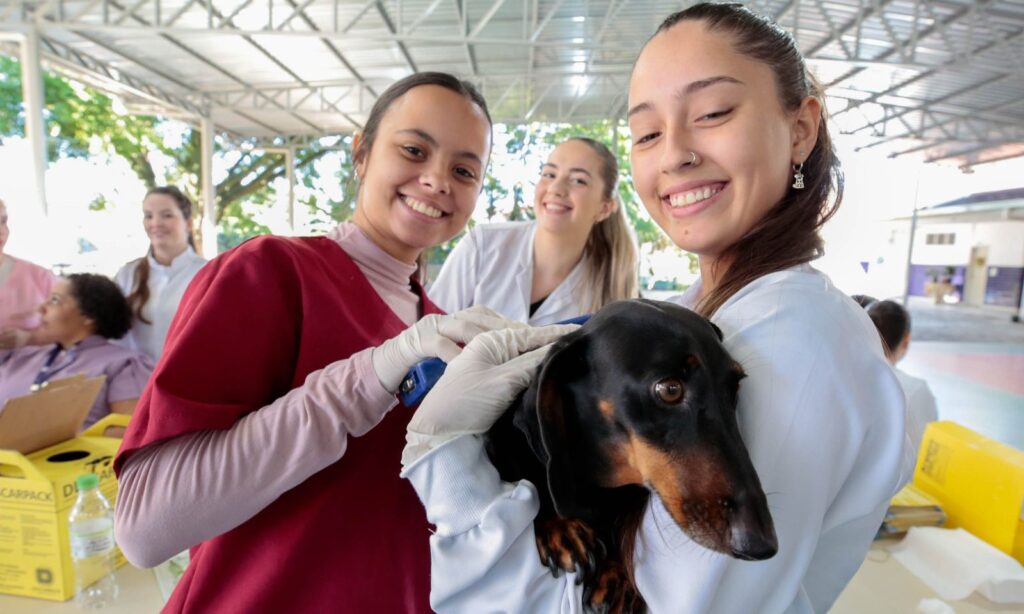 Prefeitura de Joinville realiza mutirão de microchipagem no bairro Guanabara