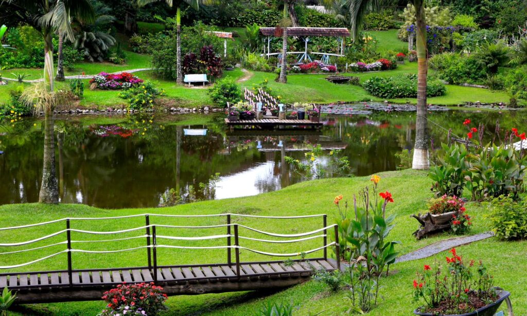 Prefeitura de Joinville divulga vencedores do concurso de Jardins na Festa das Flores