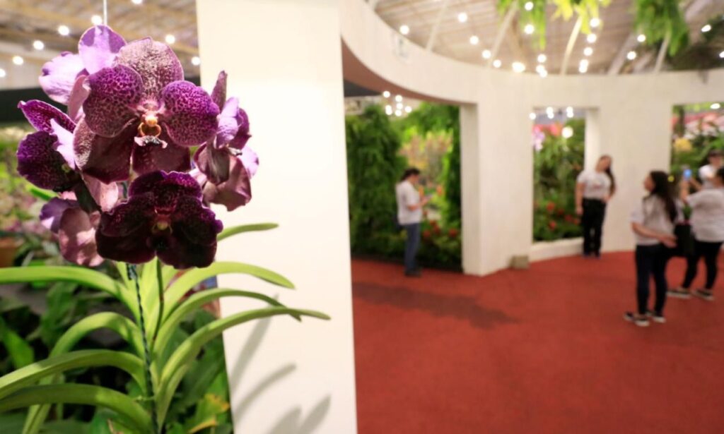 Exposições, Festa das Flores e do Tiro e festival de jazz fazem parte da Agenda Cultural
