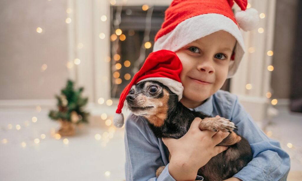 Natal de Joinville terá Movimenta Bike e Caminhada Pet nesta semana