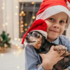 Menino segura cachorro pequeno no colo, ambos usam touca de Natal vermelha