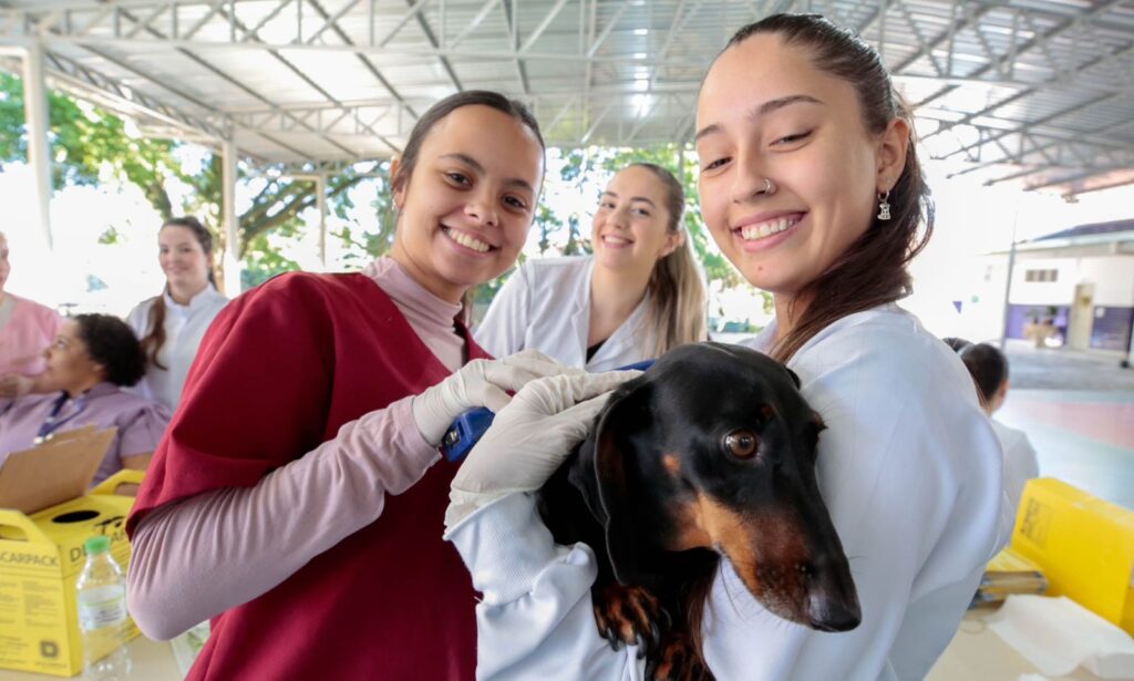 Prefeitura de Joinville realiza mutirão de microchipagem no bairro Jardim Iririú