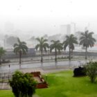 Chuva e vento em rua com árvores e rio