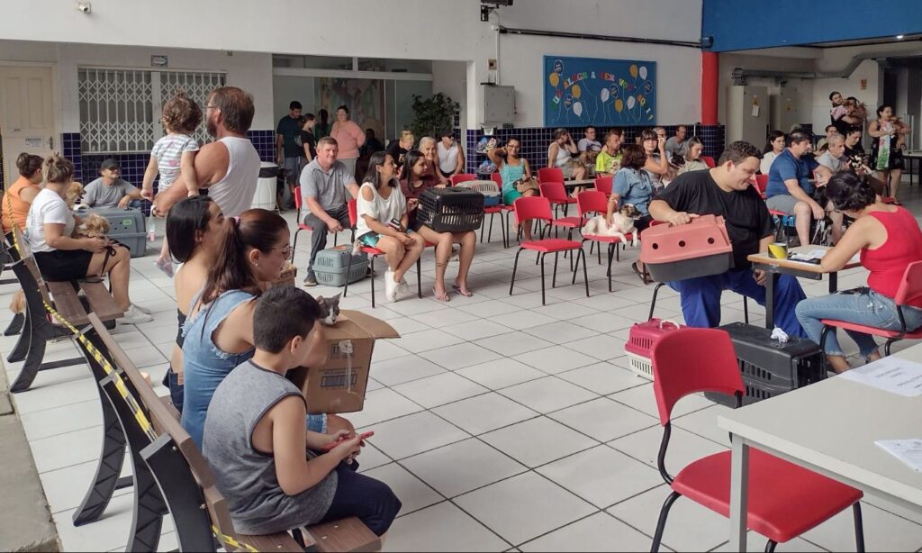 Prefeitura de Joinville microchipou mais de 600 animais no sábado