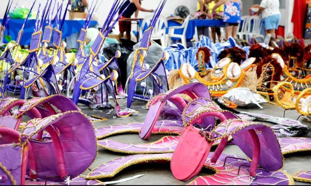Escolas de Samba de Joinville trabalham nos preparativos finais para o Desfile do Carnaval 2025