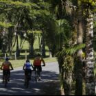 Três pessoas sobem de bicicleta rua cercada de árvores