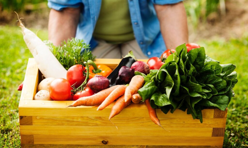 Banco de Alimentos de Joinville Sesc Mesa Brasil receberá doação de 70 toneladas de alimentos