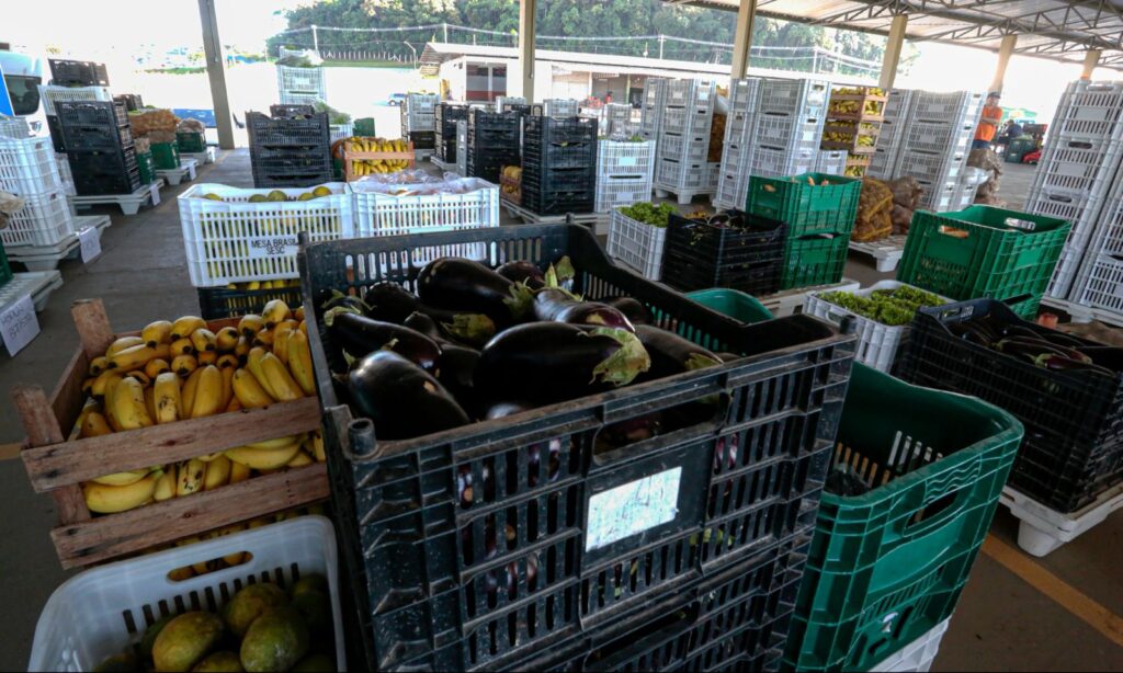 Programa de segurança alimentar incentiva a agricultura familiar de Joinville