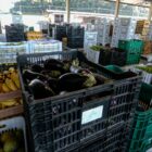 Frutas e verduras em caixas empilhadas