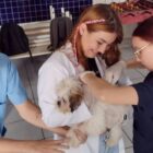 Mulher segura cachorro enquanto outra menina insere chip