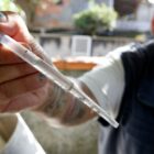 Agente segura pipeta com amostras de larvas