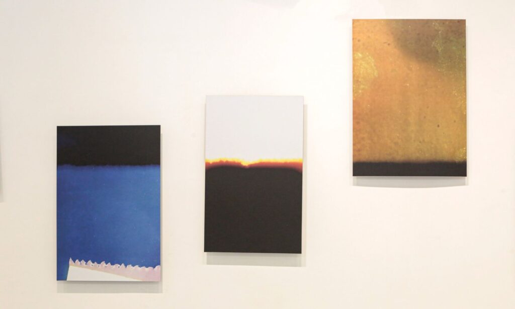 Galeria Municipal de Arte Victor Kursancew, em Joinville, recebe nova exposição