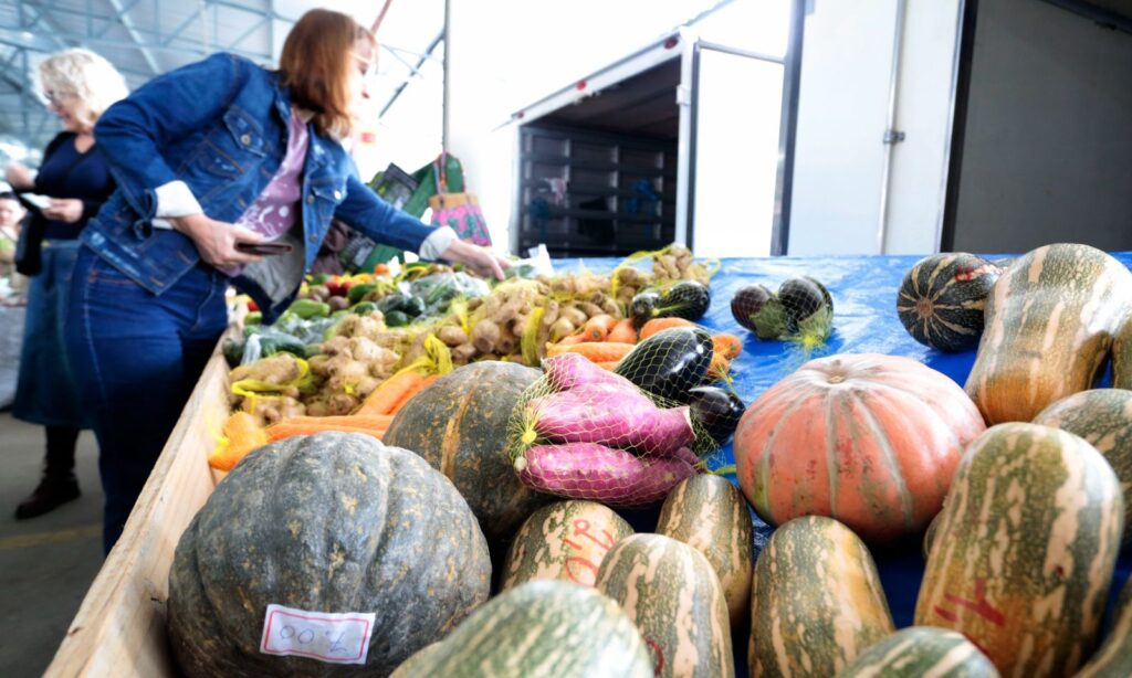 Feira Direto do Campo terá produtos frescos, artesanato, gastronomia e adoção de animais neste fim de semana