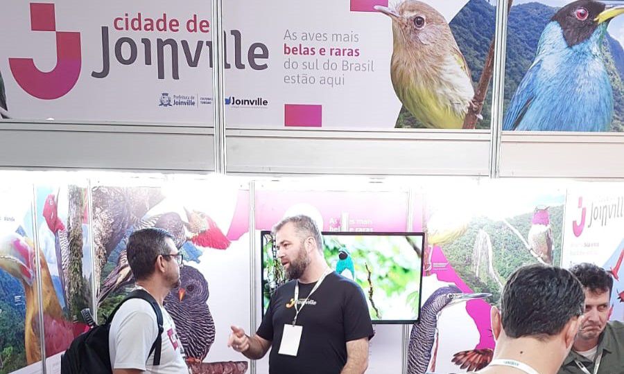 Joinville lidera atividade de observação de pássaros em Santa Catarina