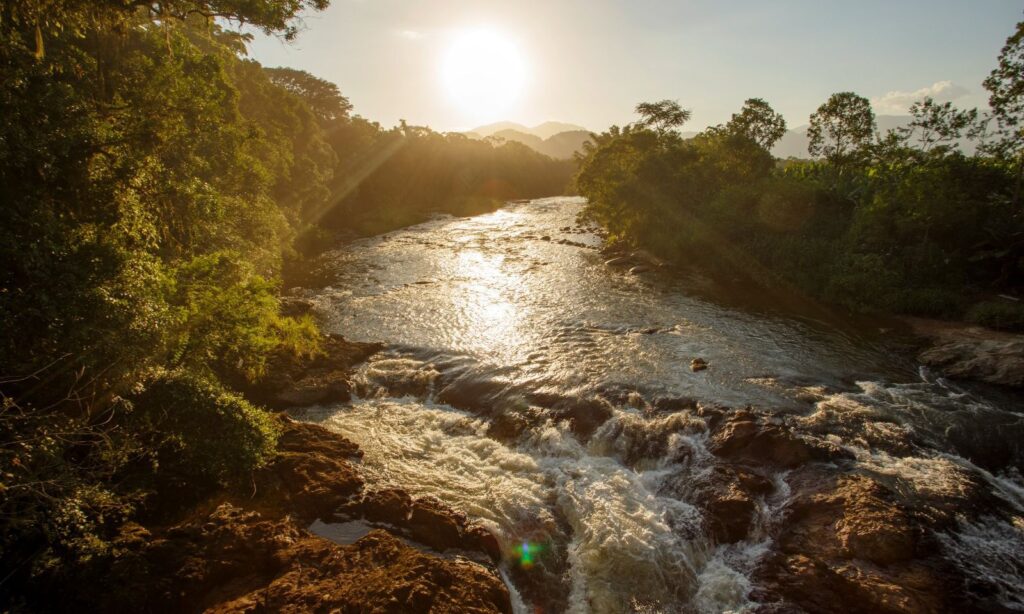 Inscrições abertas para a programação do Junho Verde, que celebra o mês dedicado à conscientização sobre o Meio Ambiente