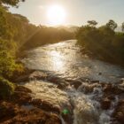 Área verde, com árvores, a beira de um rio