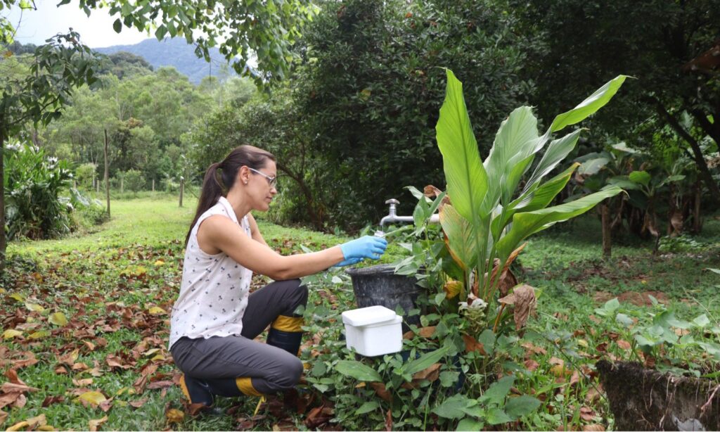 Companhia Águas de Joinville destaca iniciativa de preservação ambiental no mês do meio ambiente