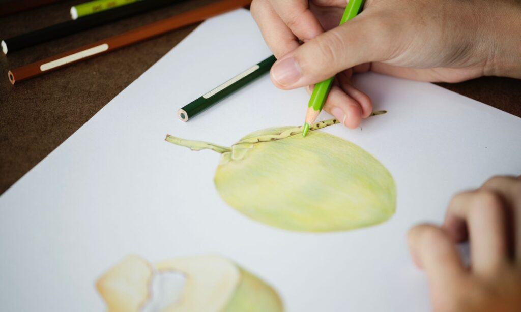 Escola de Artes da Casa da Cultura abre inscrições para duas oficinas