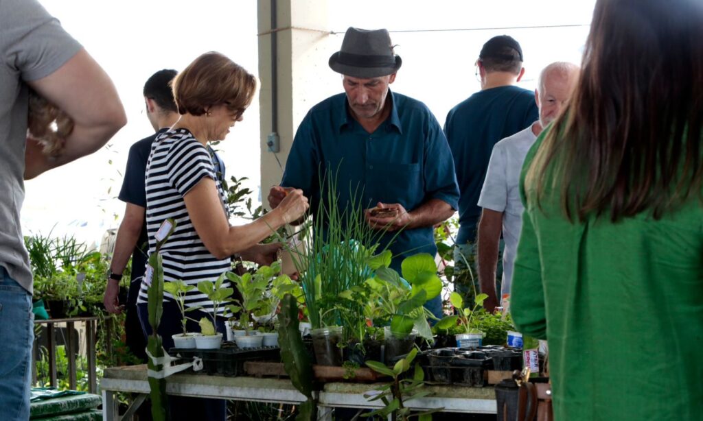 Mais de 30 expositores vão comercializar seus produtos na Feira Direto do Campo, neste fim de semana