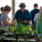 Homem e mulher em stand com mudas e plantas em feira