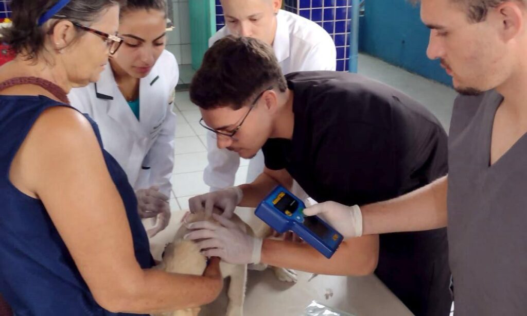 Prefeitura de Joinville faz mutirão de microchipagem no bairro Boa Vista