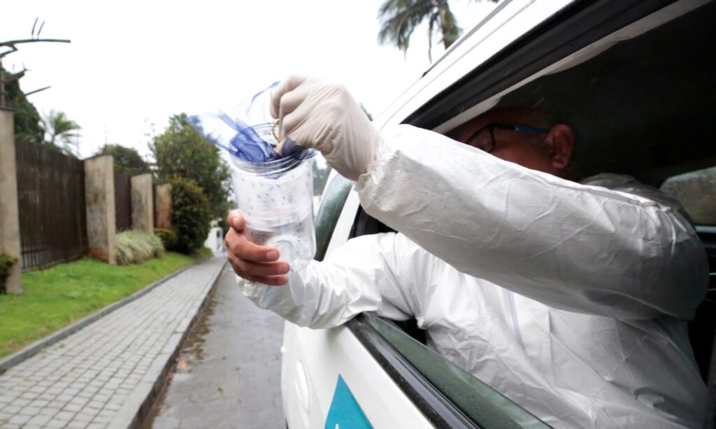 Mosquito é liberado pela janela de carro em movimento na segunda fase do Método Wolbachia