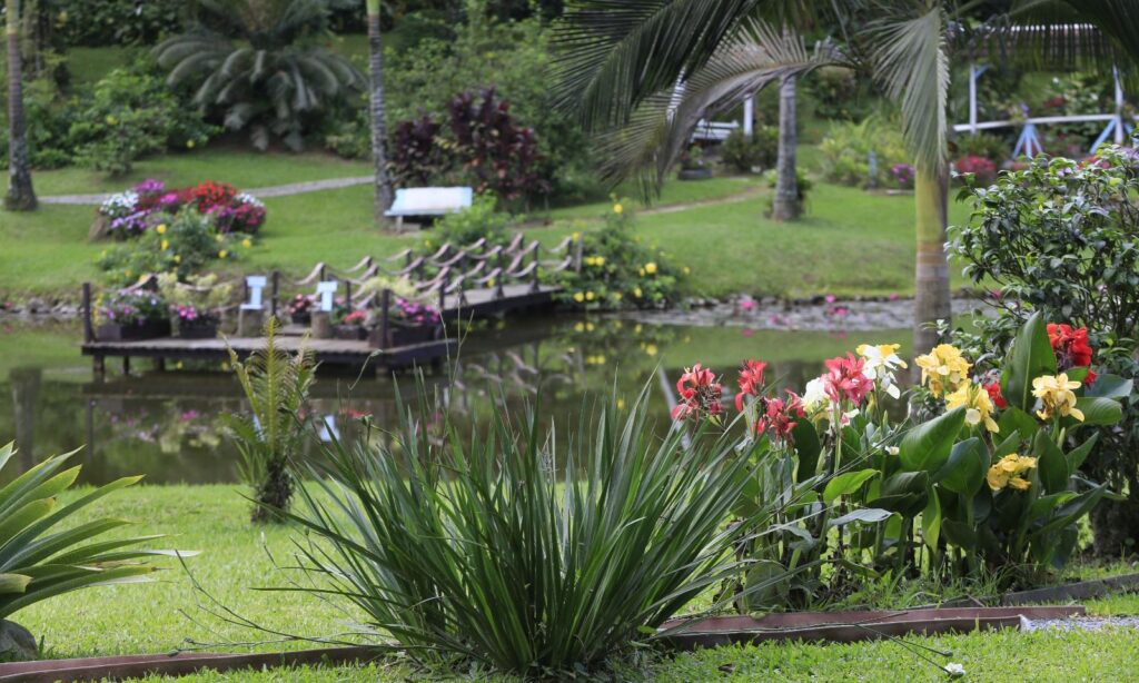 Prefeitura de Joinville abre inscrições para o Concurso de Jardins