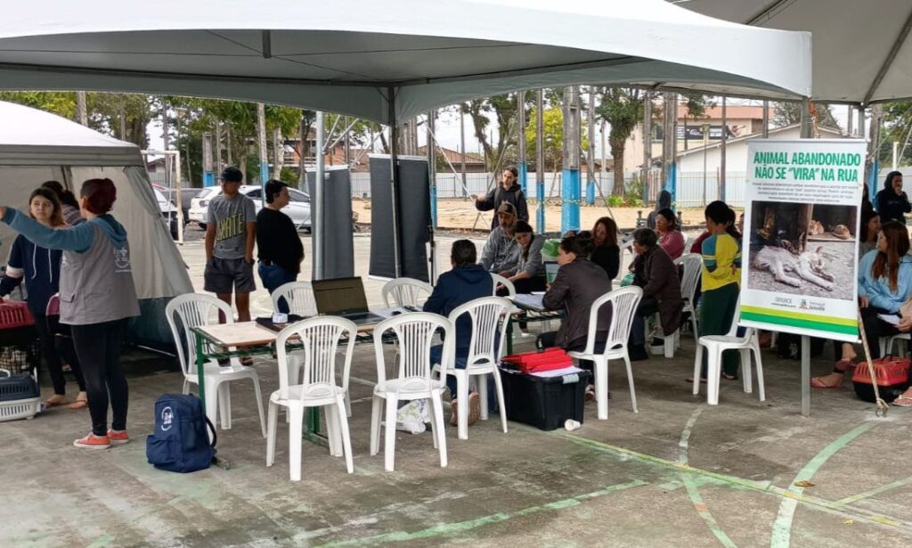 Prefeitura de Joinville castra 197 animais em mutirão realizado na Vila Cubatão