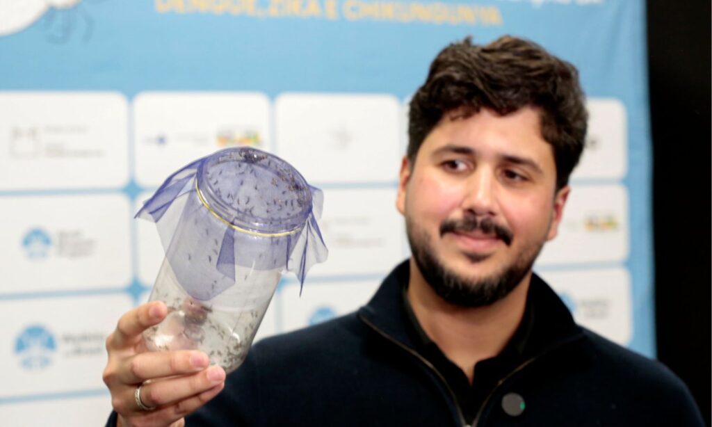Método Wolbachia avança em Santa Catarina e Joinville se destaca como referência na aplicação da tecnologia de prevenção à dengue